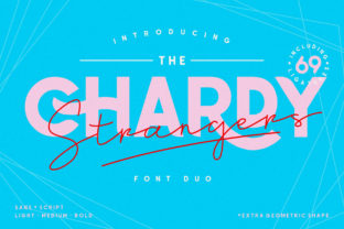 A Designer's Real-World Review of Chardy Display Font