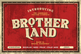 Brotherland Font: A Web Designer's Story of Vintage Digital Style