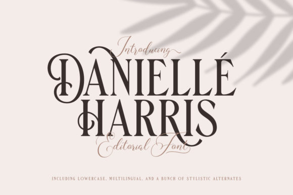 Danielle Harris: A Display Font for Clear and Elegant Campaigns