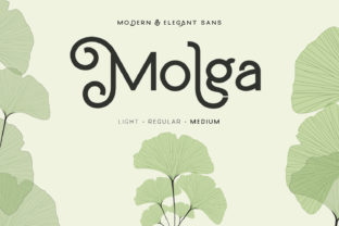 Molga: A Modern Display Font to Elevate Your Brand