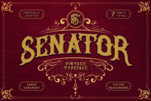 Senator: A Bold Display Font for Modern Web Projects